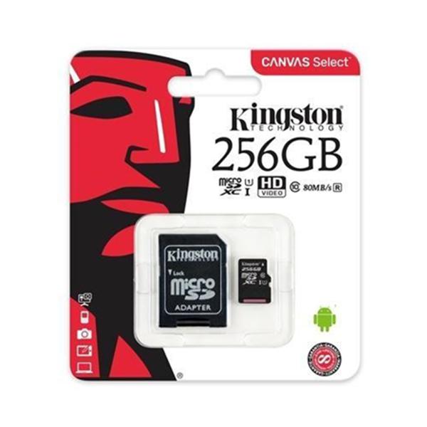 SDCS2/256GB