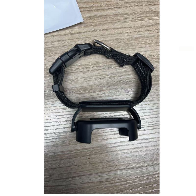 COLLAR-DM10#633
